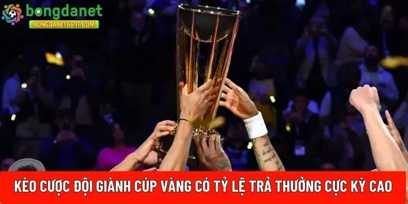 Kèo cược đội giành cúp vàng