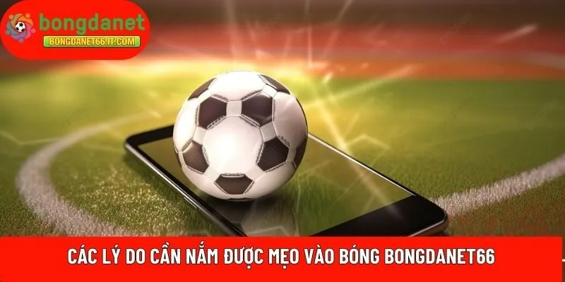 Các lý do cần nắm được mẹo vào bóng BONGDANET66