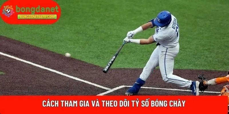 Cách tham gia và theo dõi tỷ số bóng chày