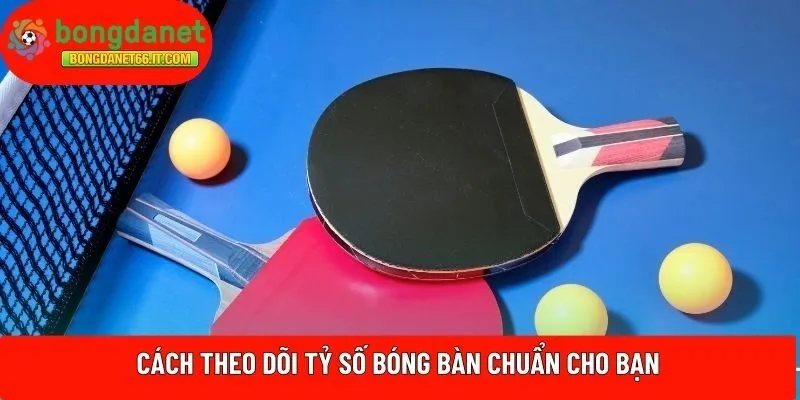 Cách theo dõi tỷ số bóng bàn chuẩn cho bạn