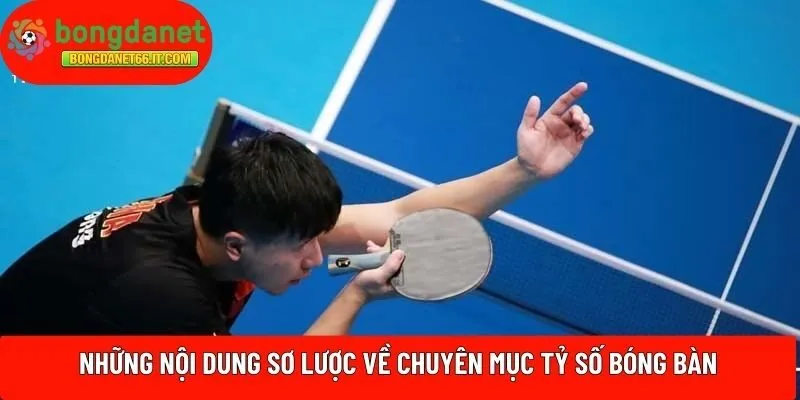 Những nội dung sơ lược về chuyên mục tỷ số bóng bàn
