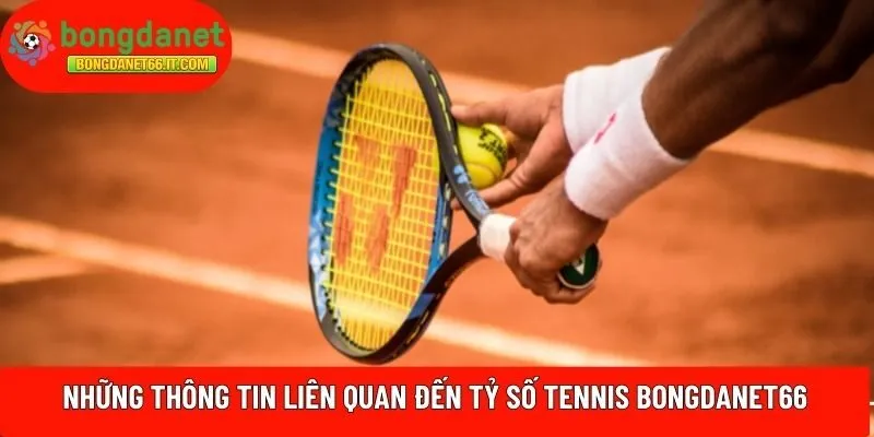 Những thông tin liên quan đến tỷ số Tennis BONGDANET66