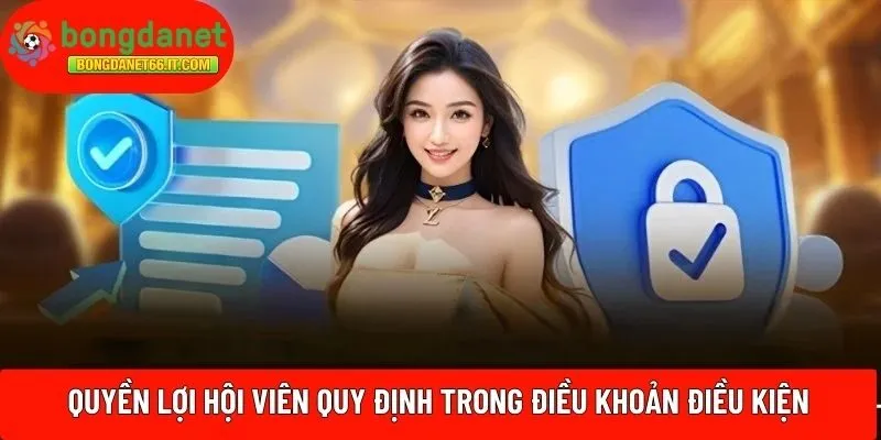 Quyền lợi hội viên quy định trong điều khoản điều kiện